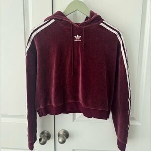 Adidas® Originals Velour Cropped Hoodie Sweatshirt in Size S